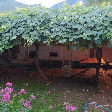 Guest House Nene Mestia Exterior foto