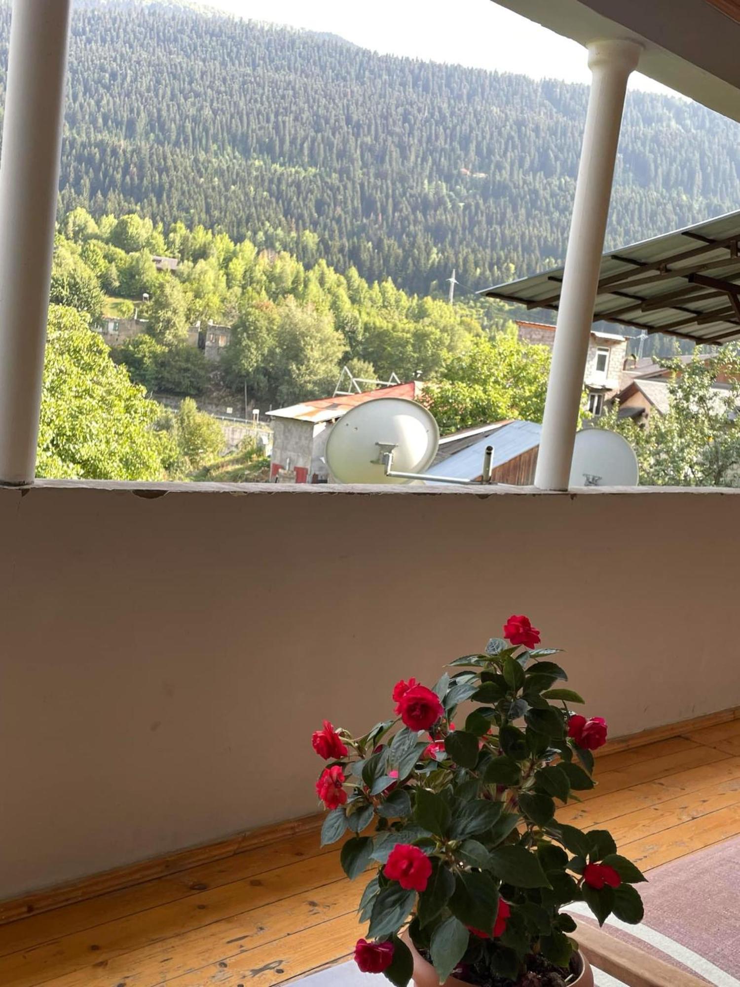 Guest House Nene Mestia Exterior foto